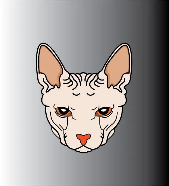 Graphic design work by Hamdan Ibne Muneer